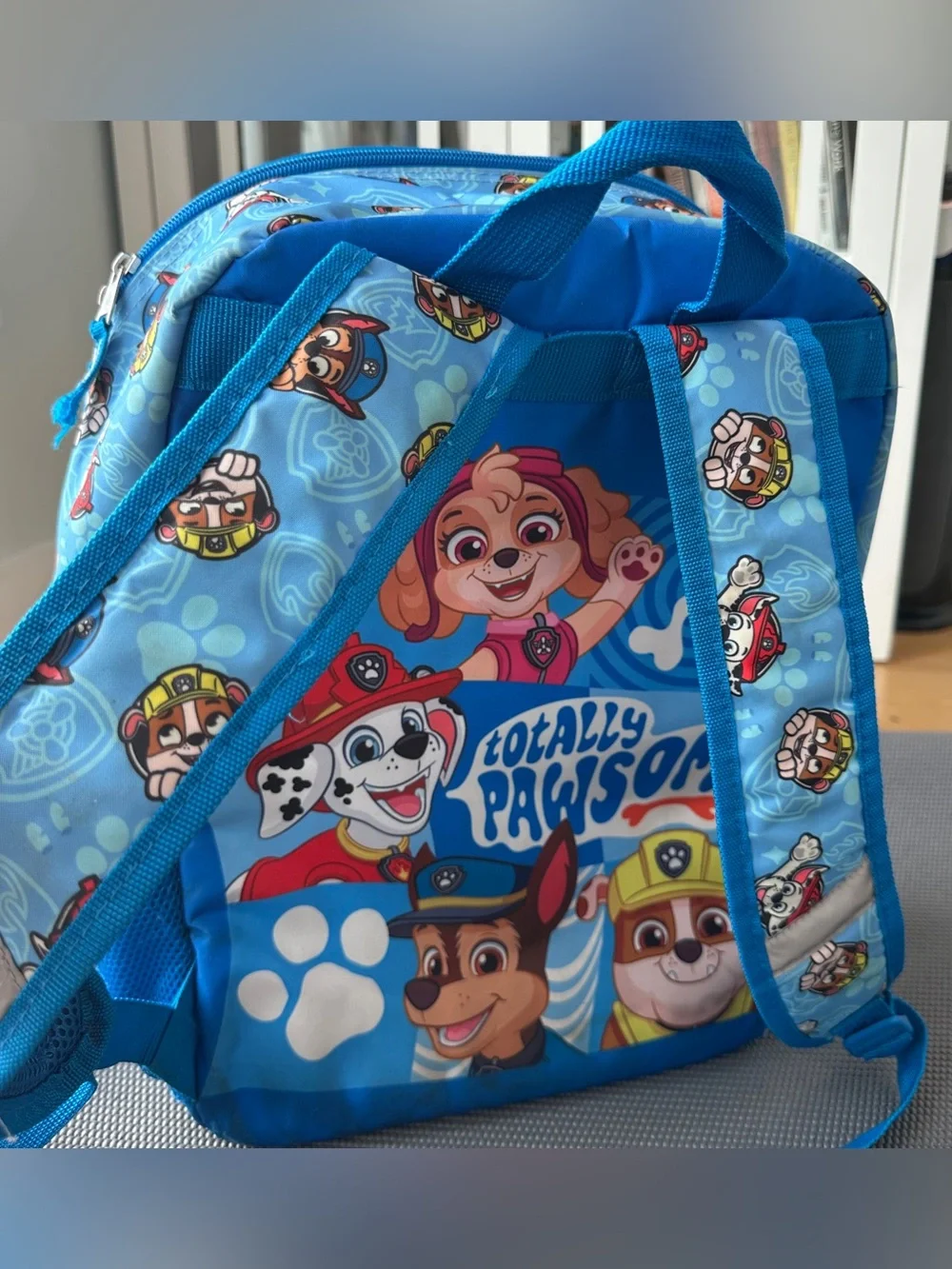 Paw Patrol Kids 3D Backpack Nickelodeon Pawsome Friends